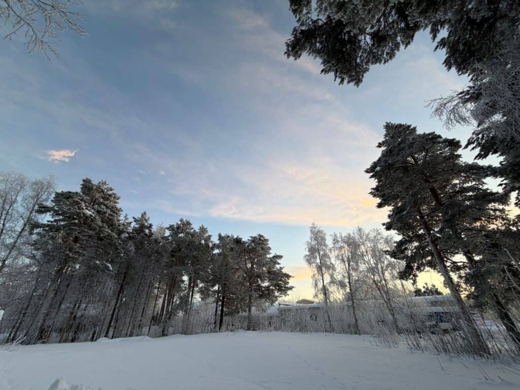 Snowy forest garden surrounding Lappvall Lodge in Arjeplog