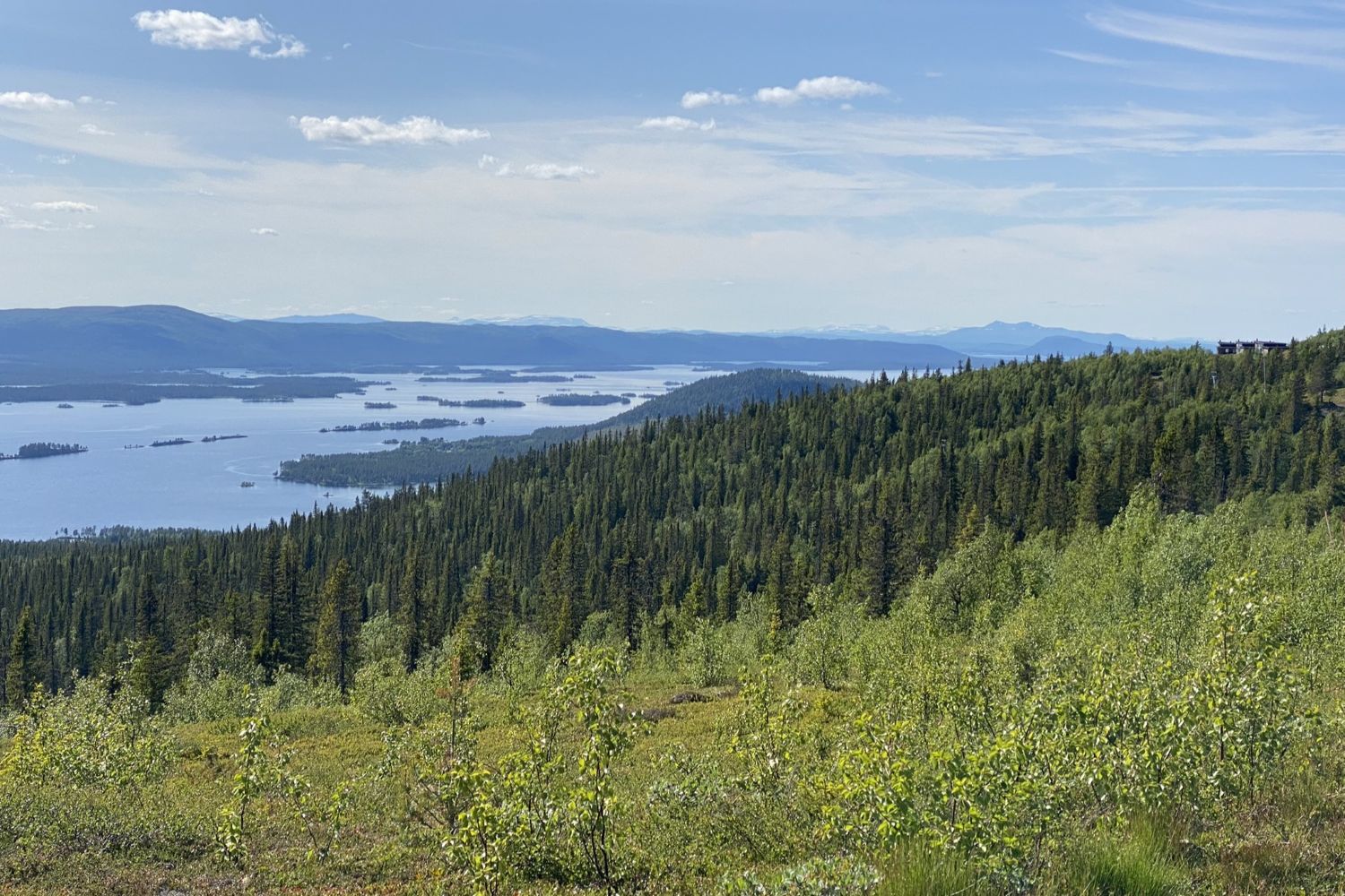 Panoramic summer view over lakes and forests in Arjeplog Swedish Lapland